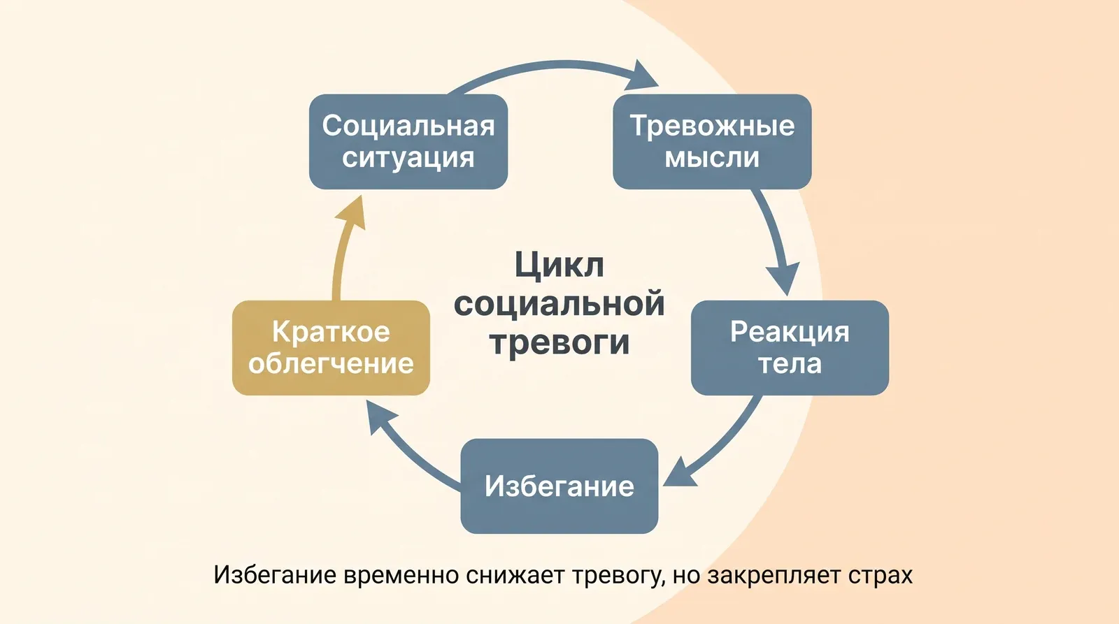 Цикл социальной тревоги: тревожные мысли, реакция тела, избегание и краткое облегчение